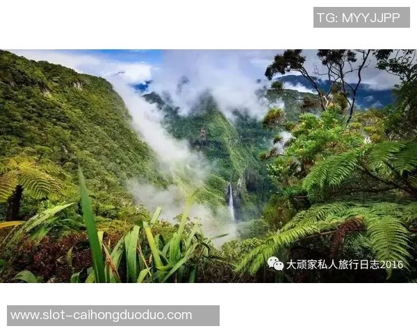 世界杯新闻广州极限运动队在世界攀岩锦标赛中的逆袭之路与荣耀时刻